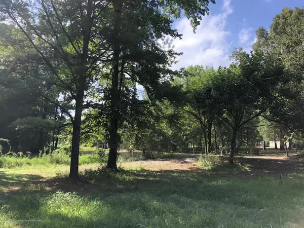 Byhalia, MS 38611,0 Brown Hills Road