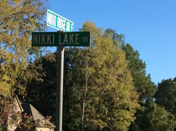 Nesbit, MS 38651,0 Nikki Lake Drive