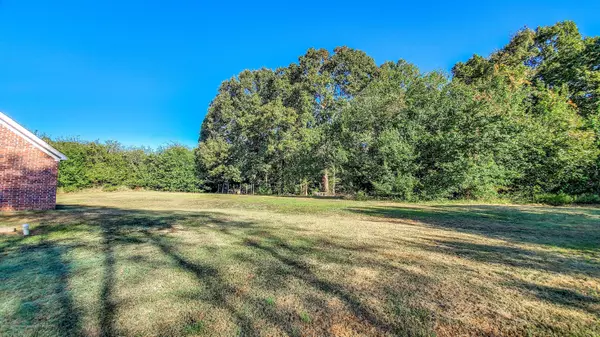 Byhalia, MS 38611,0 Hollow Tree Lane