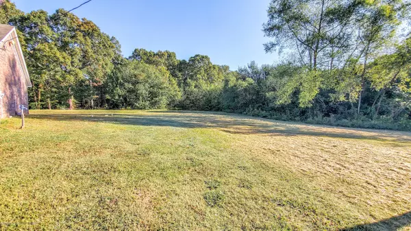 Byhalia, MS 38611,0 Hollow Tree Lane