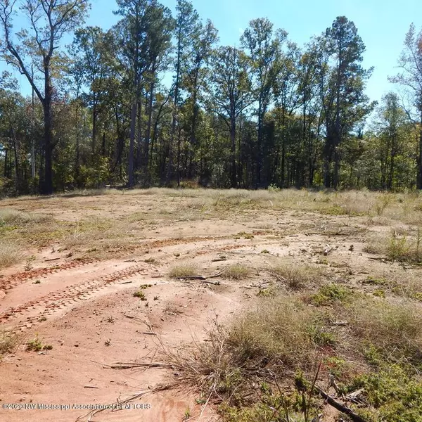 0 Pea Ridge Road, Grenada, MS 38901