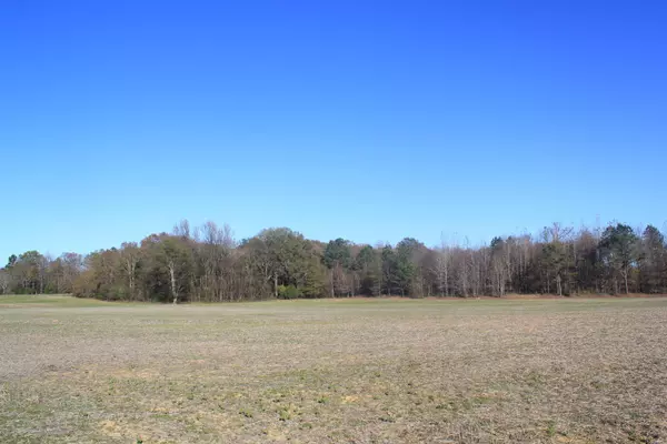 Holly Springs, MS 38635,0 Boone Road