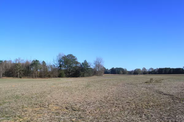 Holly Springs, MS 38635,0 Boone Road