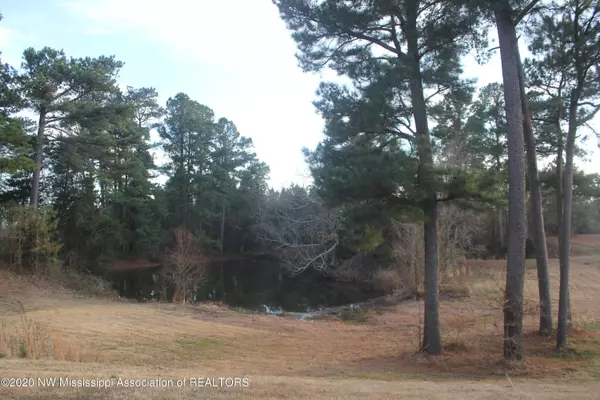 Byhalia, MS 38611,0 Plantation Way