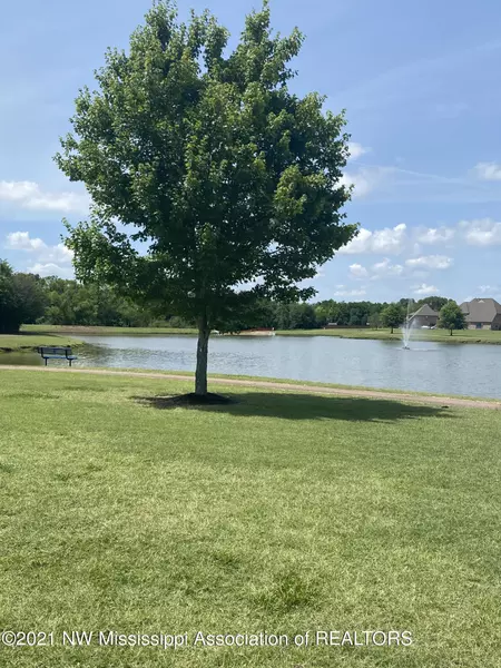 6456 Cataloochee, Olive Branch, MS 38654