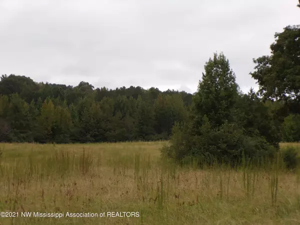 Coffeeville, MS 38922,0 County Road 211