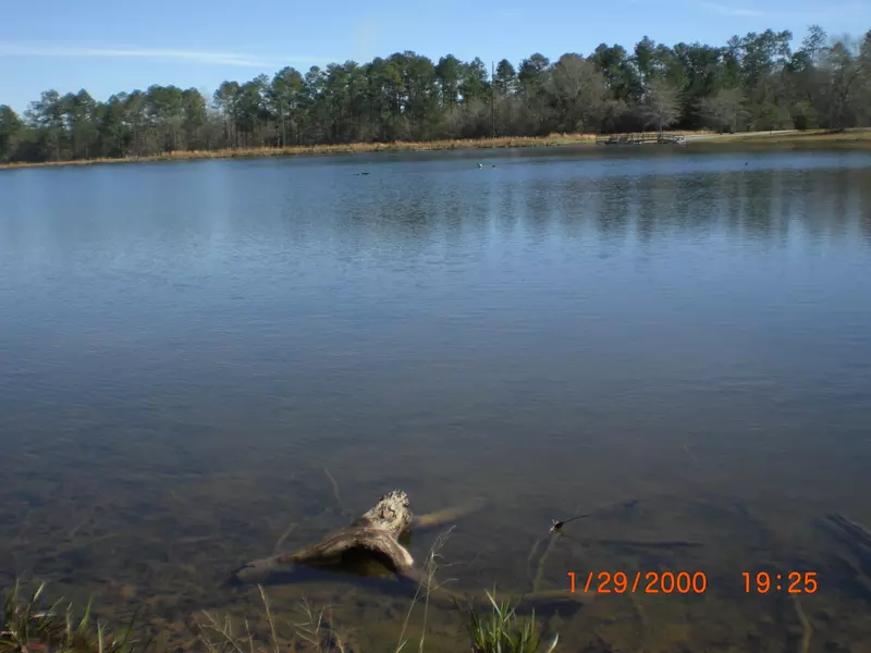 0 Lake Michael Lane, Poplarville, MS 39470