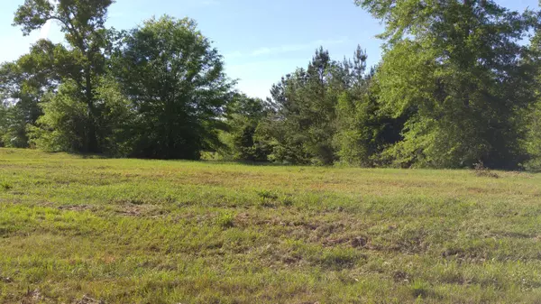 Poplarville, MS 39470,6 Oak Haven Dr