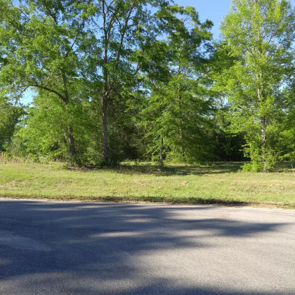 25 Winding Vale Drive, Poplarville, MS 39470