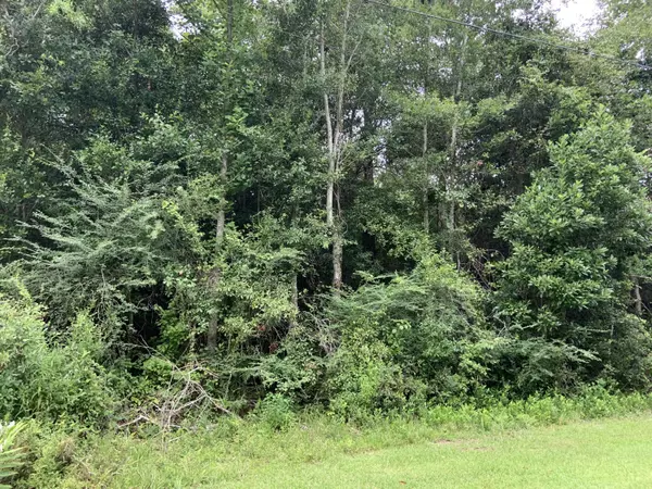 6325 Apelehama Road #Lot 62, Diamondhead, MS 39525