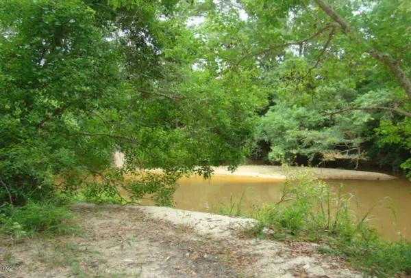 Carriere, MS 39426,151 Acolapisa Trace