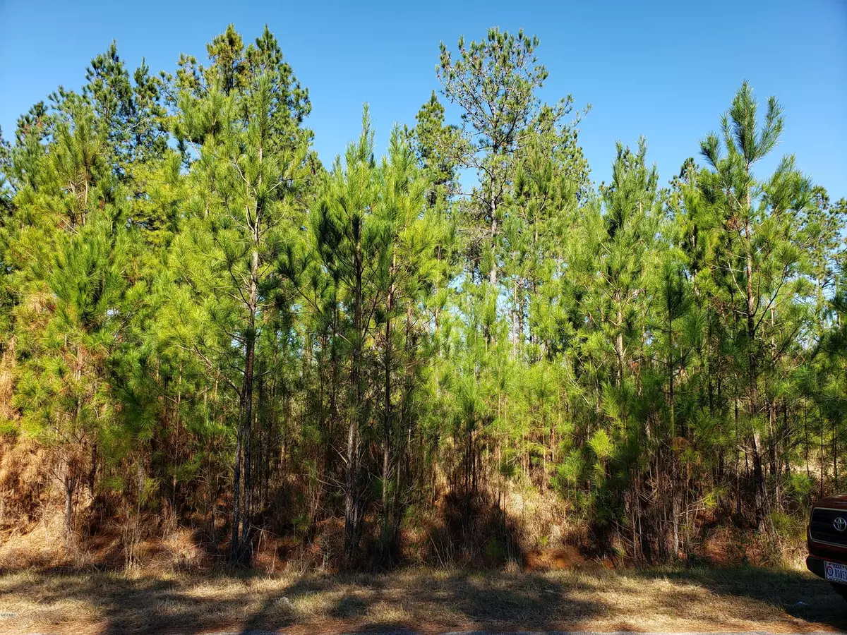 Perkinston, MS 39573,Clear Lake- Lot 2 Road