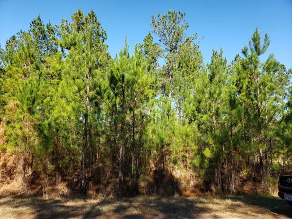 Clear Lake- Lot 2 Road, Perkinston, MS 39573