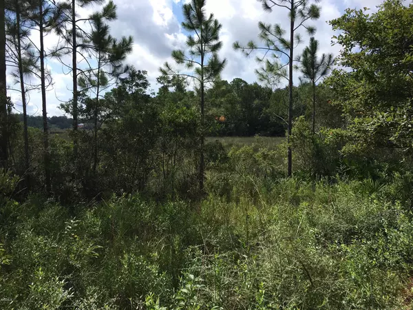 Gautier, MS 39553,0 Iron Cove #Lot #136