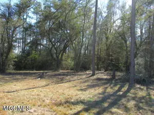 Gulfport, MS 39503,13601 Alcede Lizana Road