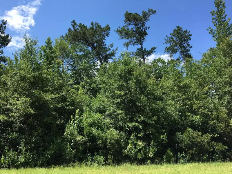 0 Tally Shaw Road, Saucier, MS 39574