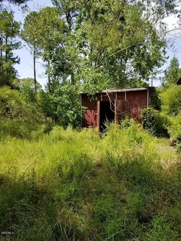 Picayune, MS 39466,133157 N Fox Trail Road