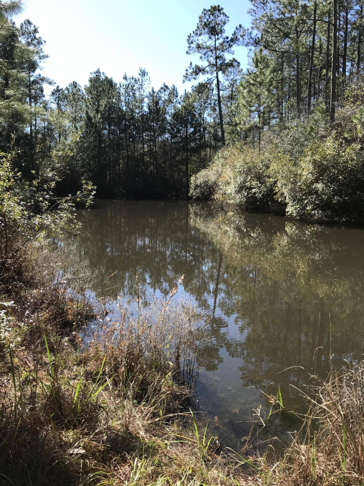 Picayune, MS 39466,133157 N Fox Trail Road