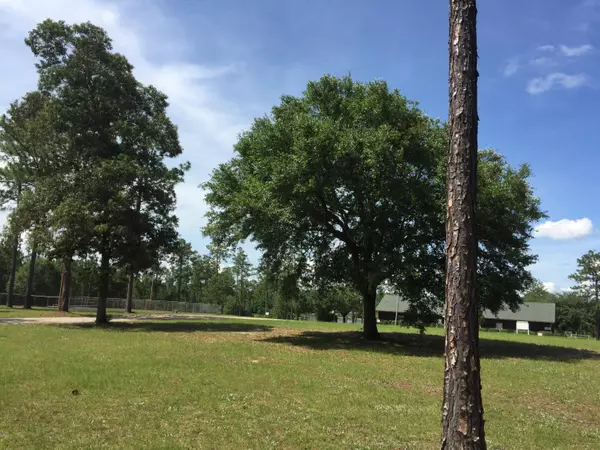 Perkinston, MS 39573,0 Cypress Cv #Lot 51