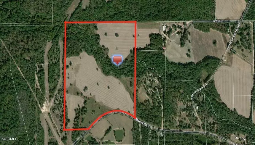 80 Merrill Road, Lucedale, MS 39452