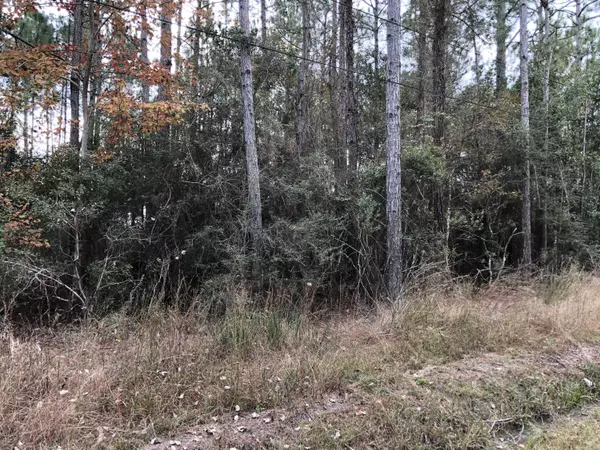 Bay Saint Louis, MS 39520,163 Tate Street