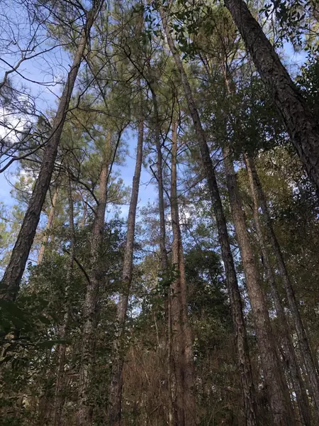 0 Hwy 63 North, Leakesville, MS 39451