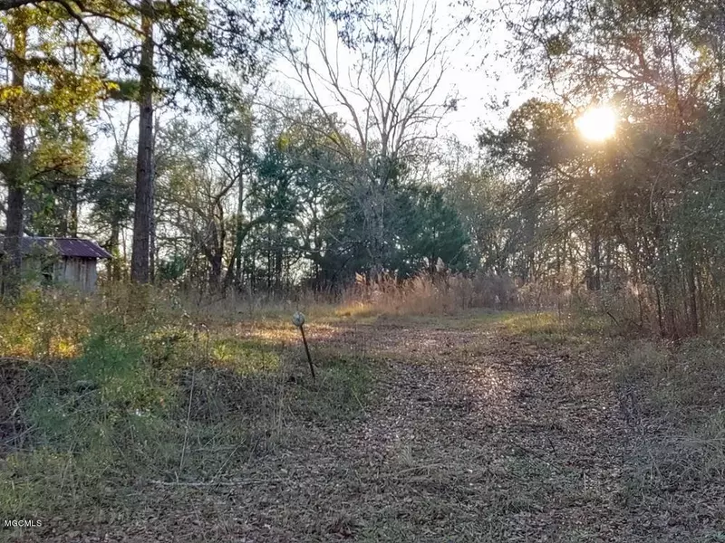 25 Sandy Smith Road, Poplarville, MS 39470