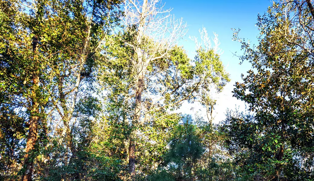 0 H M Blair Lane, Lucedale, MS 39452