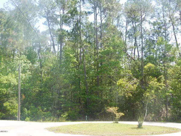 Diamondhead, MS 39525,26 Kaleki Court