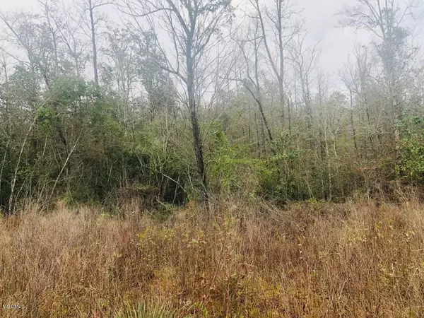 Carriere, MS 39426,0 Knoll Creek (Lot 28)