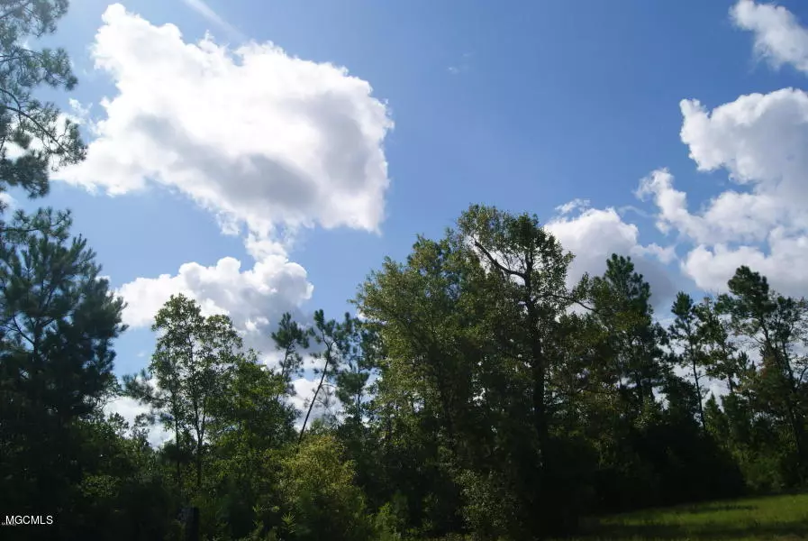 1901 E Mchenry Road, Mchenry, MS 39561