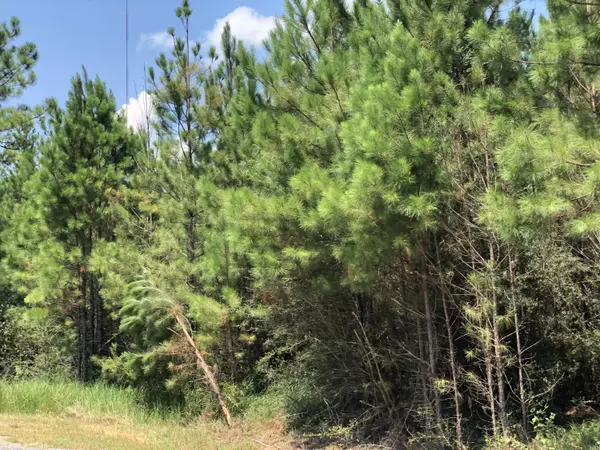 Clear Lake Rd - Lot 18 Road, Perkinston, MS 39573