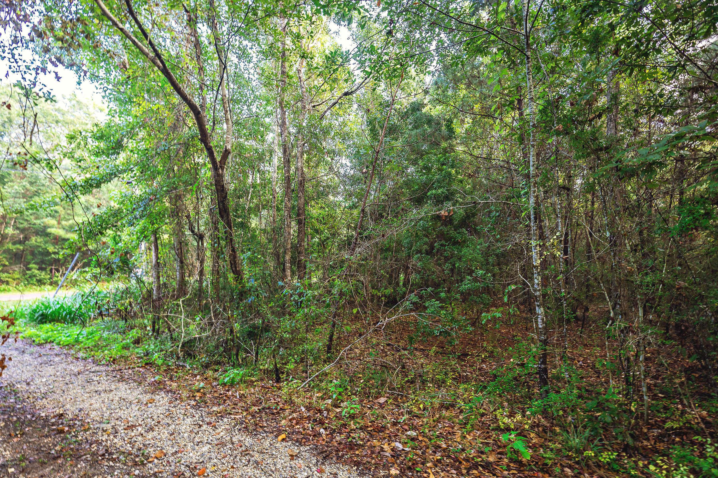 Ocean Springs, MS 39564,10 Gollott Road