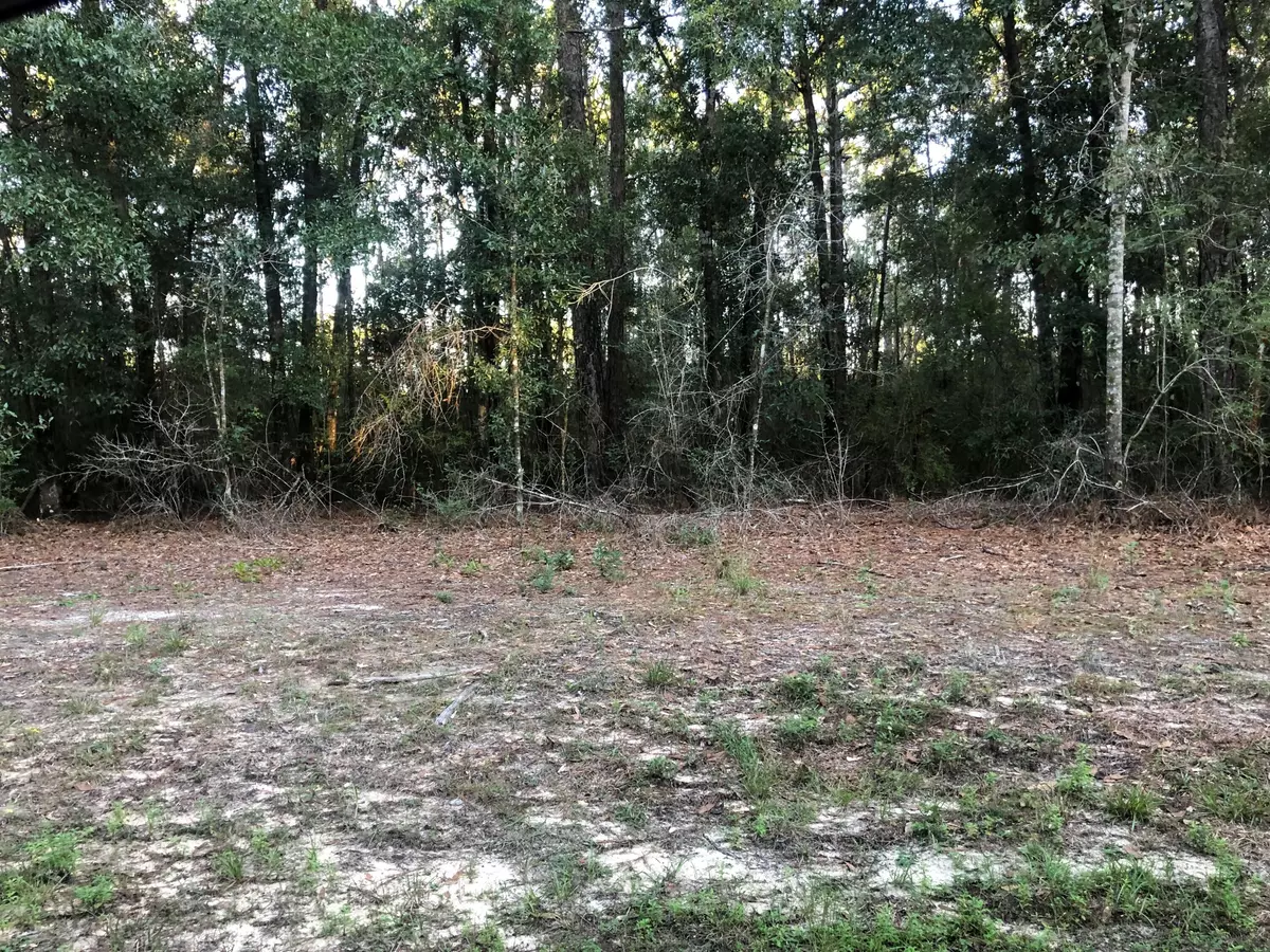 Moss Point, MS 39562,0 Wolf Ridge Road