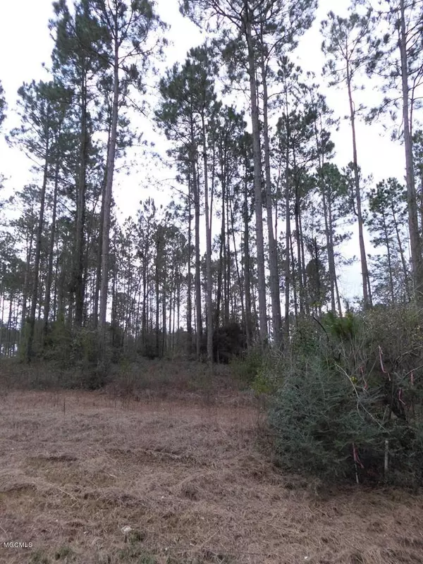 Carriere, MS 39426,168 Deerfield Lane