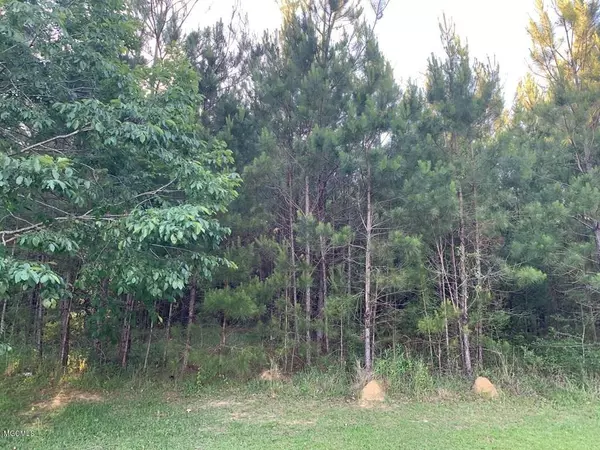 Carriere, MS 39426,0 Cove Lake Road #Lot E