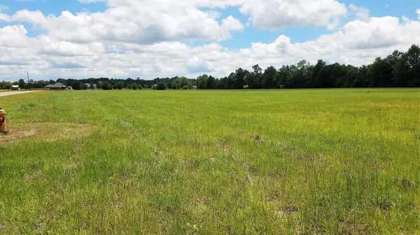 0 Anchor Lake Road #Lot 4, Carriere, MS 39426