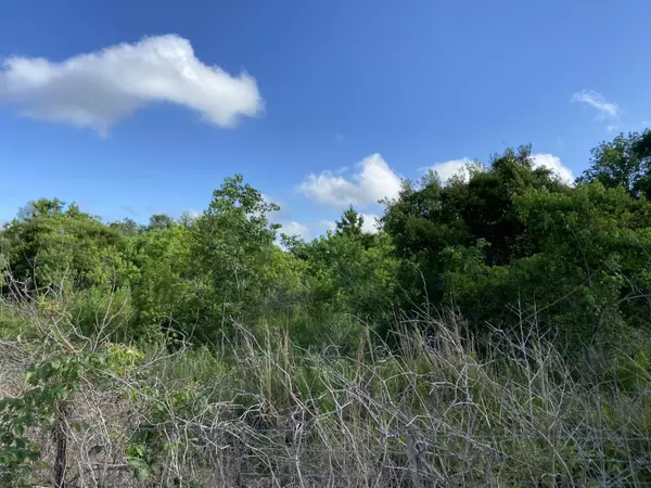 Moss Point, MS 39562,0 Cool Ridge Road