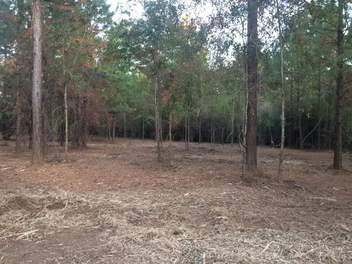 Saucier, MS 39574,0 Bobcat Trail