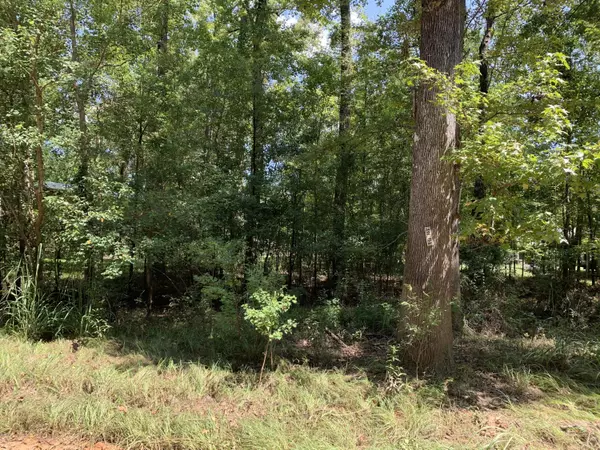 Lucedale, MS 39452,359 Mayhall Drive