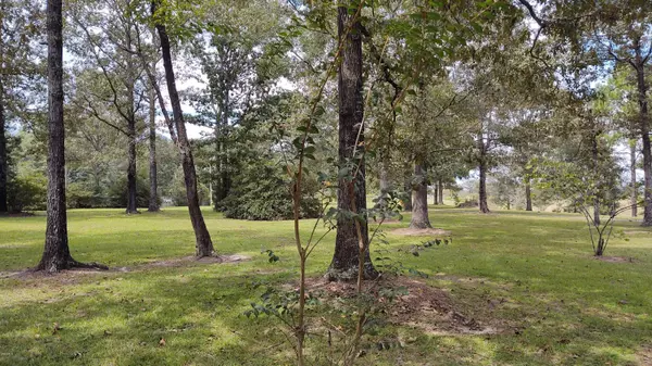Poplarville, MS 39470,1202 Dupont-Harts Chapel Road