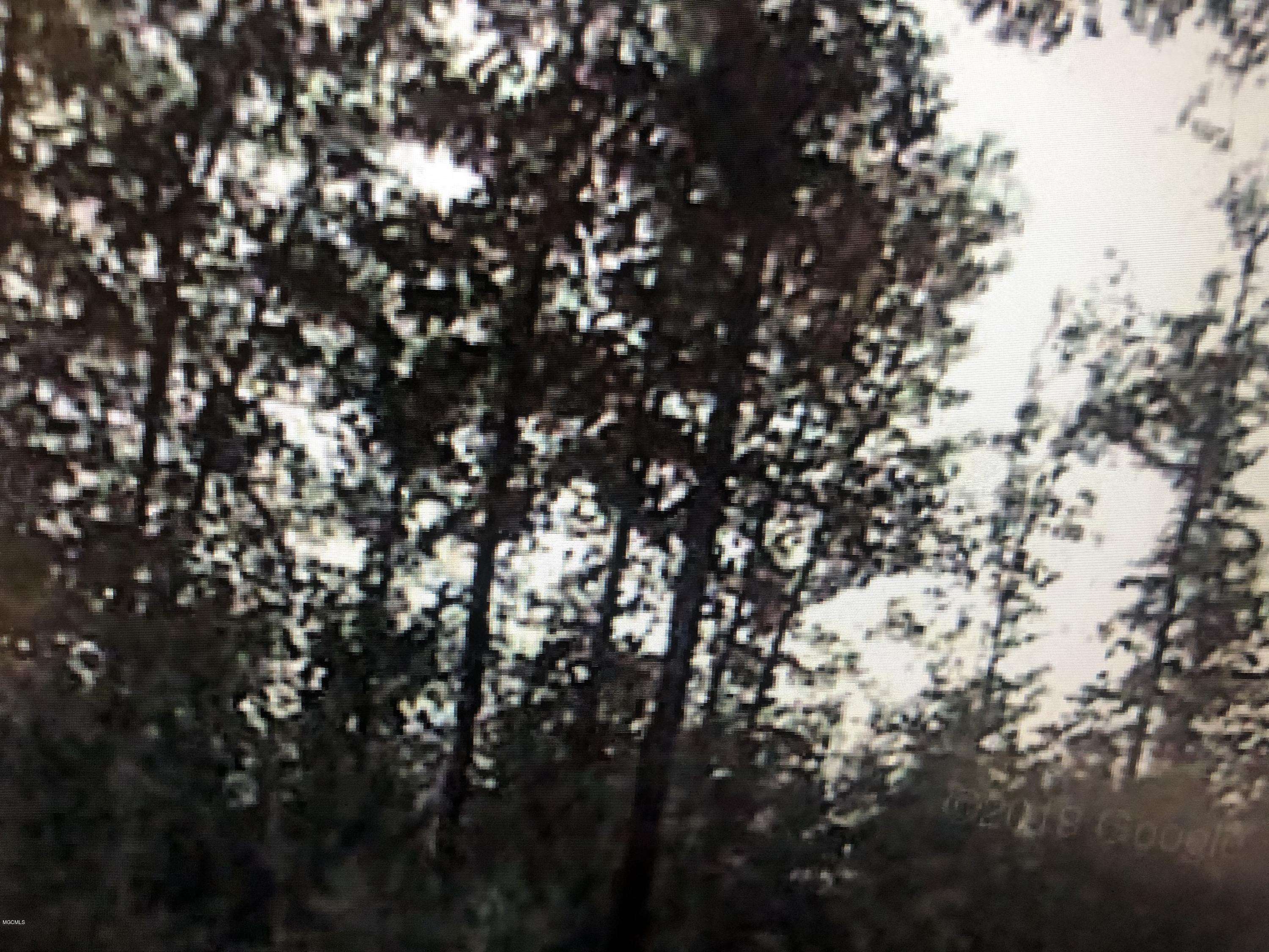 0 E Mchenry Road, Perkinston, MS 39573