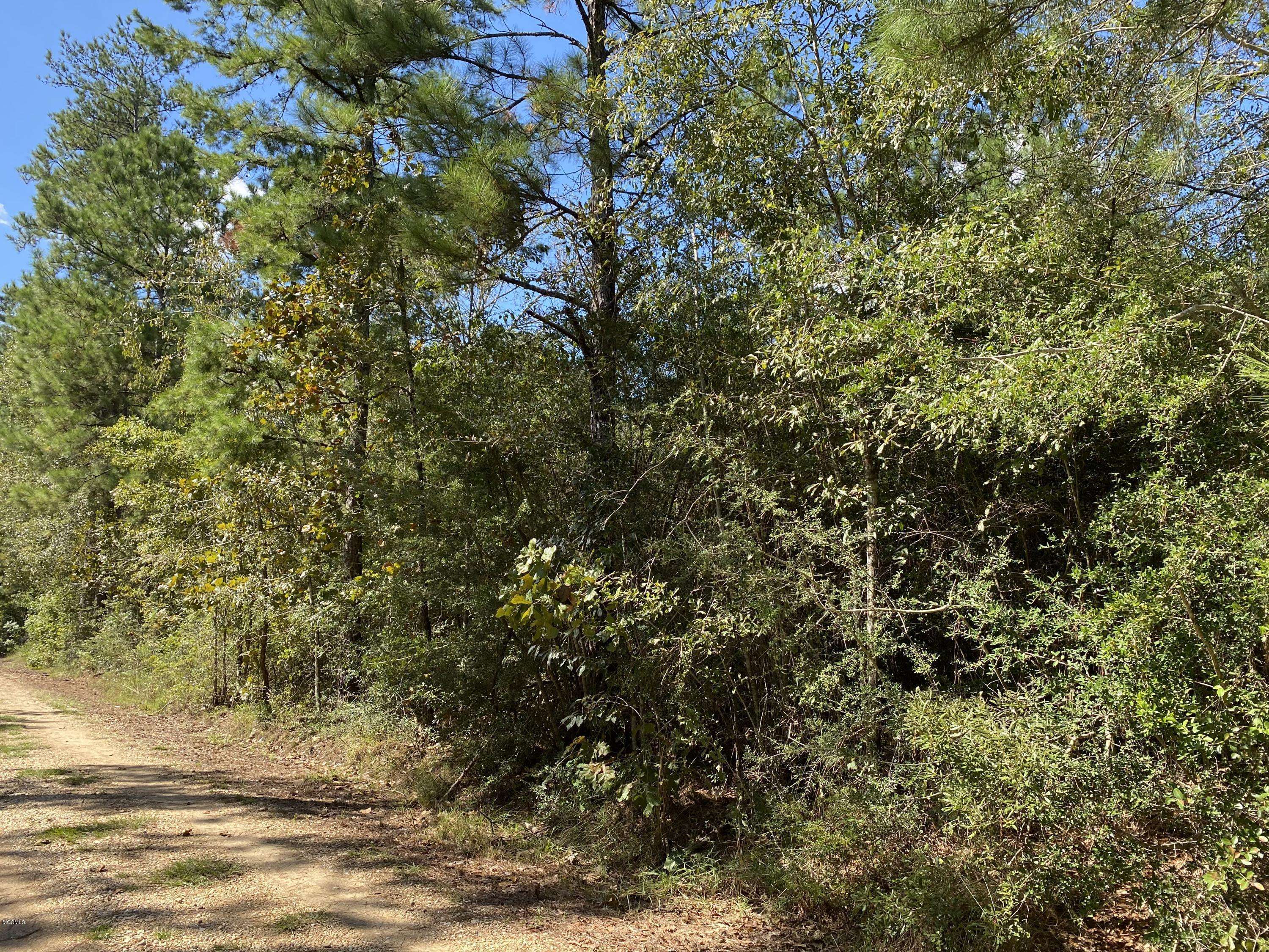 Carriere, MS 39426,0 E Virgil Lewis Road