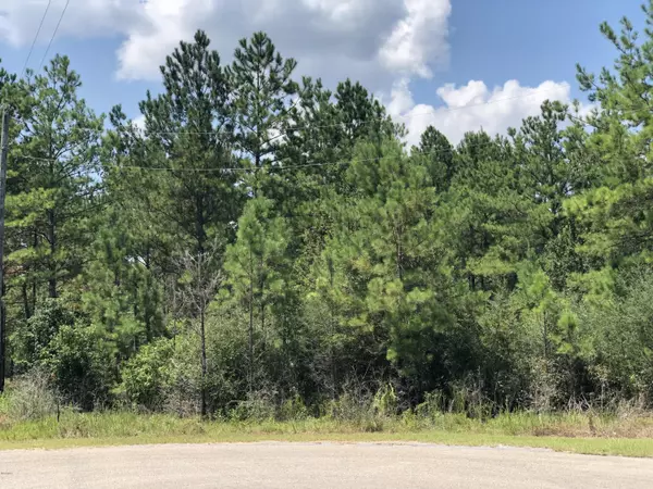 0 Clear Lake Road, Perkinston, MS 39573