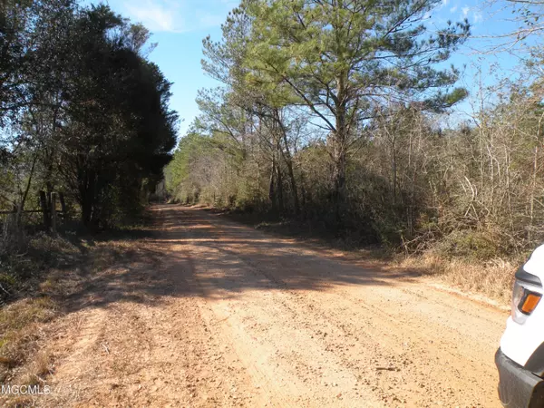 Lucedale, MS 39452,11 Braydon Drive