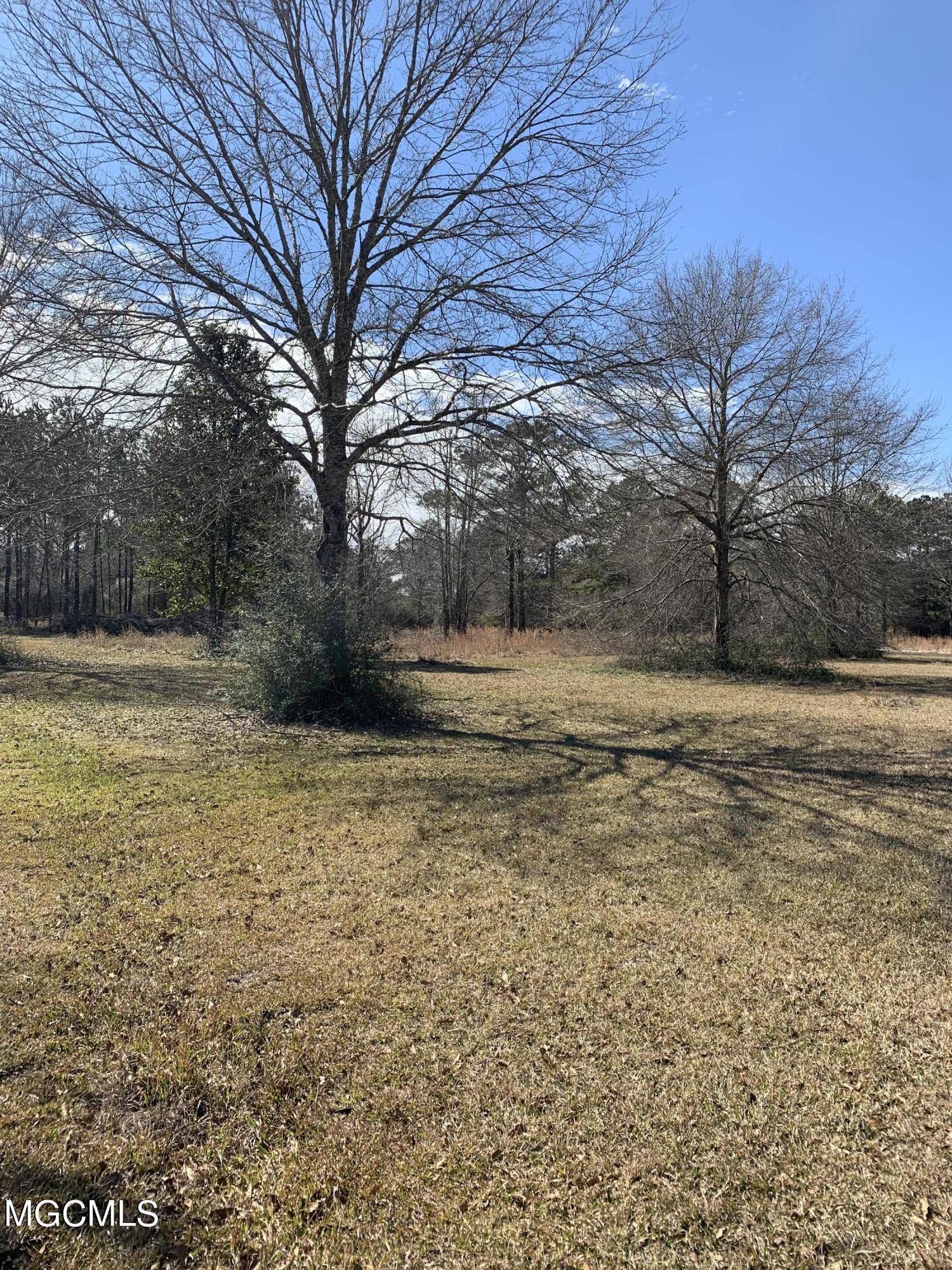 Carriere, MS 39426,416 Jake Smith Road
