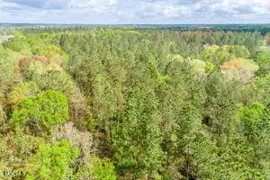 Lucedale, MS 39452,0 Park Drive #(10 Acres)