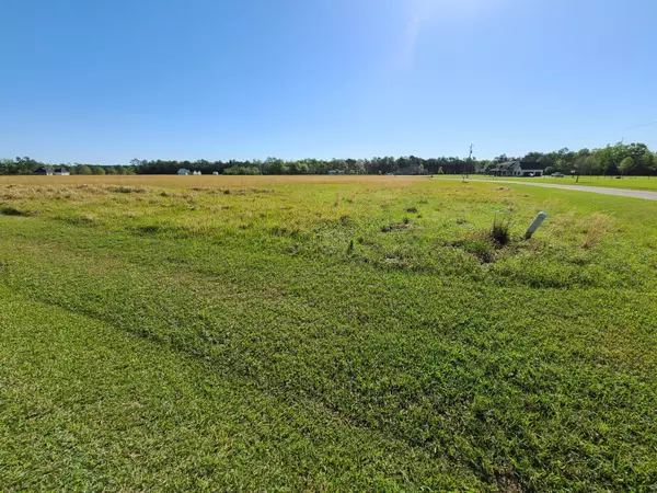 Carriere, MS 39426,0 Scenic View Drive