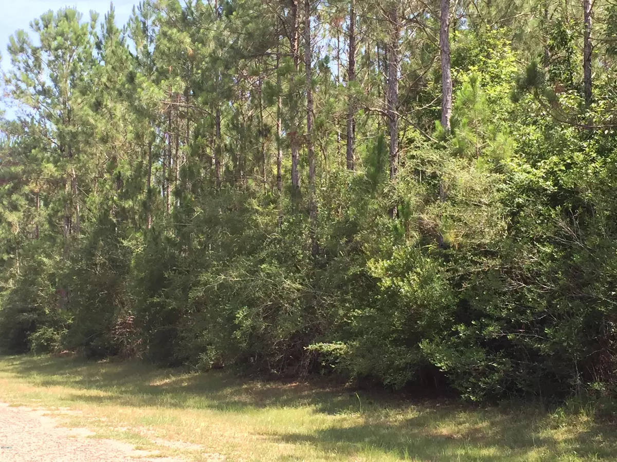 Perkinston, MS 39573,Cypress Place #Lot 34