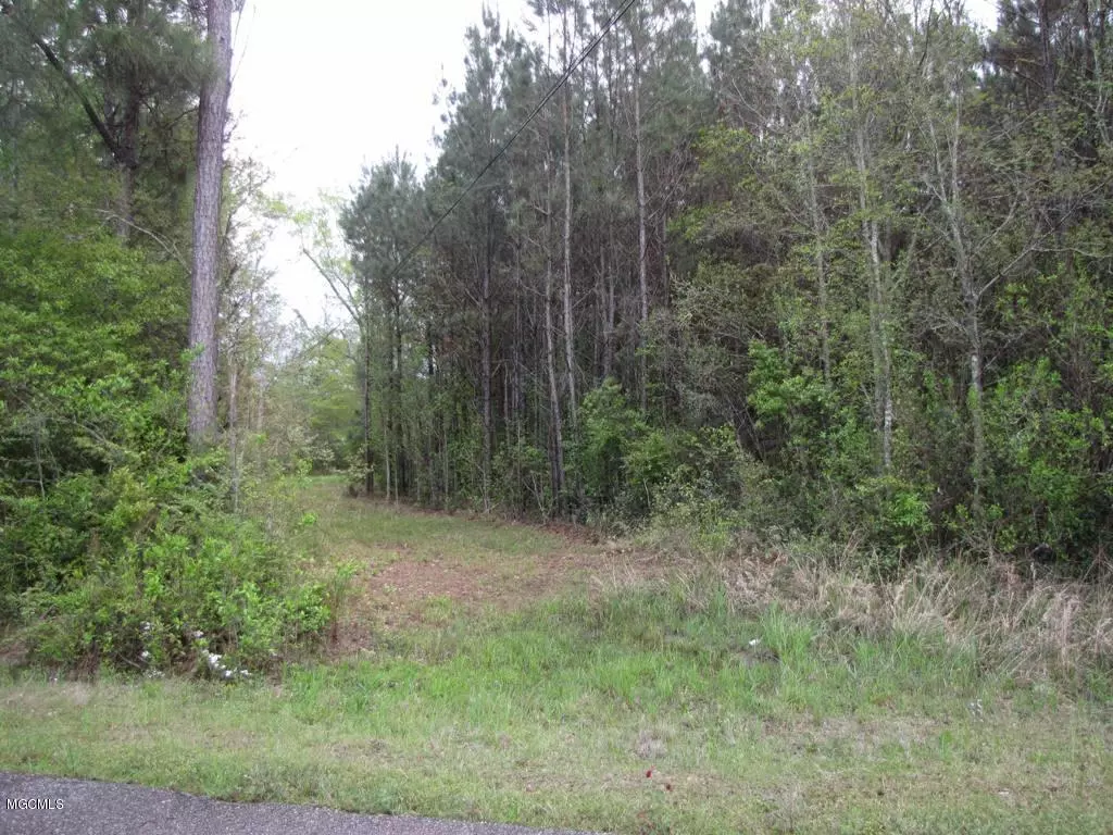 Picayune, MS 39466,0 Harvey Burks/Dunhurst Long Road